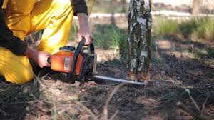 Best Lawn Grading and Leveling  in Elk Ridge, UT