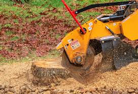 Best Lawn Mowing  in Elk Ridge, UT