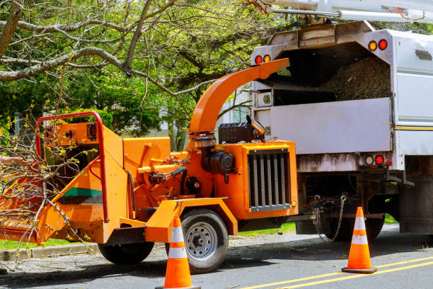 Best Hazardous Tree Removal  in Elk Ridge, UT